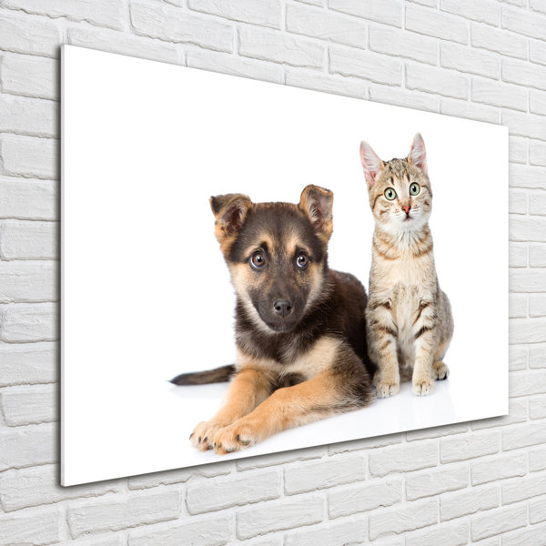 Ebern Designs Glasbild Hund Und Katze Wayfair De